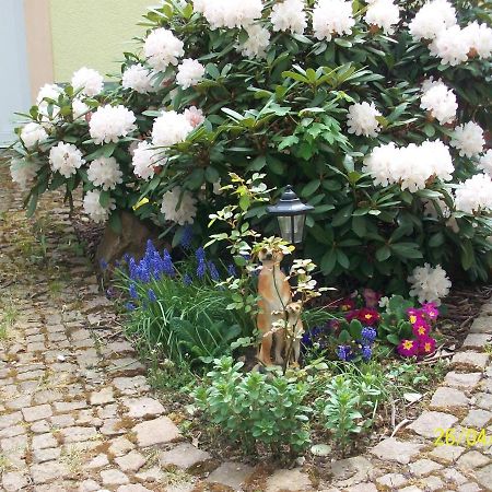 Gästewohnung in Döbeln Exterior foto