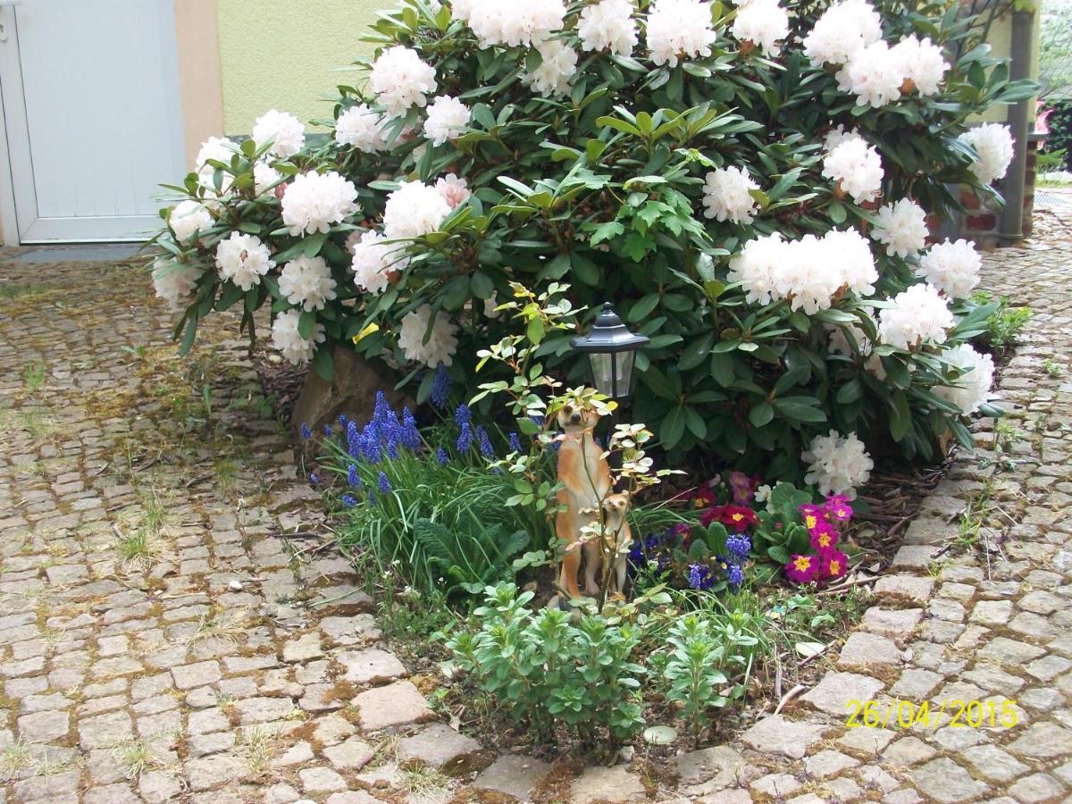 Gästewohnung in Döbeln Exterior foto