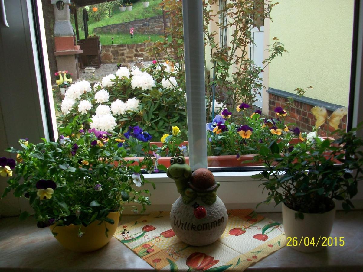 Gästewohnung in Döbeln Exterior foto